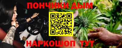 индика Кунгур