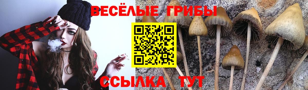 Псилоцибиновые грибы Magic Shrooms Кондопога