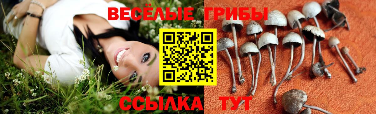 Галлюциногенные грибы мицелий  Вход с VPN  купить наркоту  Кондопога 